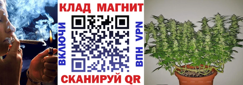 Сколько стоит Злынка ГАШ Псилоцибиновые грибы A PVP Меф мяу мяу KRAKEN зеркало МАРИХУАНА