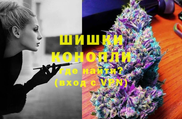 spice Алзамай
