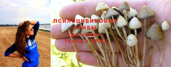 ALPHA PVP Алексин