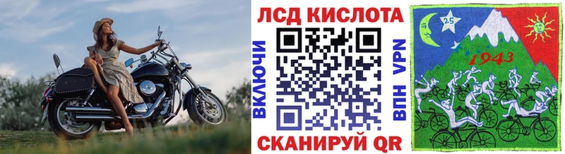 магазин продажи наркотиков  Злынка  KRAKEN зеркало  Марки N-bome 1,5мг 